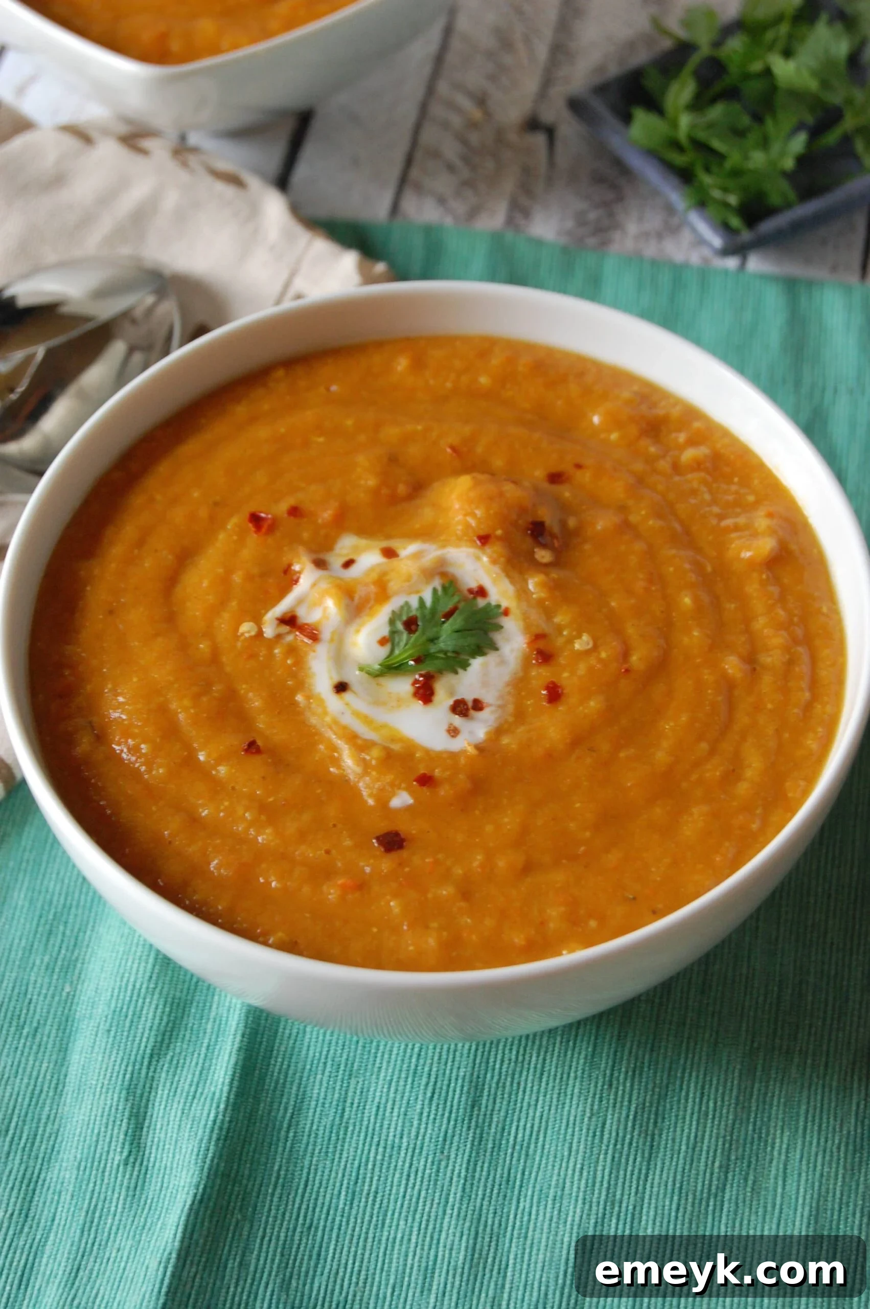Instant Pot Lentil Soup with Parsley, a vibrant and healthy meal idea.