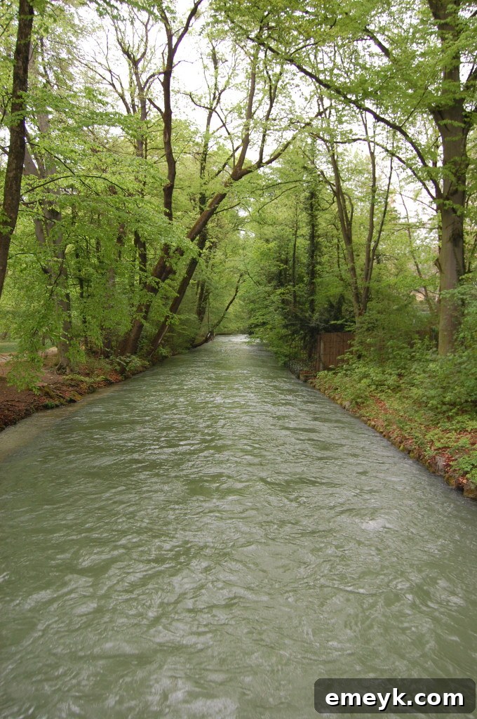 Scenic view of Englischer Garten in Munich, with a winding path and green foliage