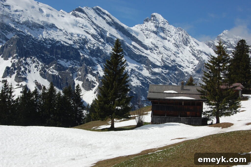 Panoramic view of Interlaken, Switzerland, nestled between two lakes and surrounded by mountains
