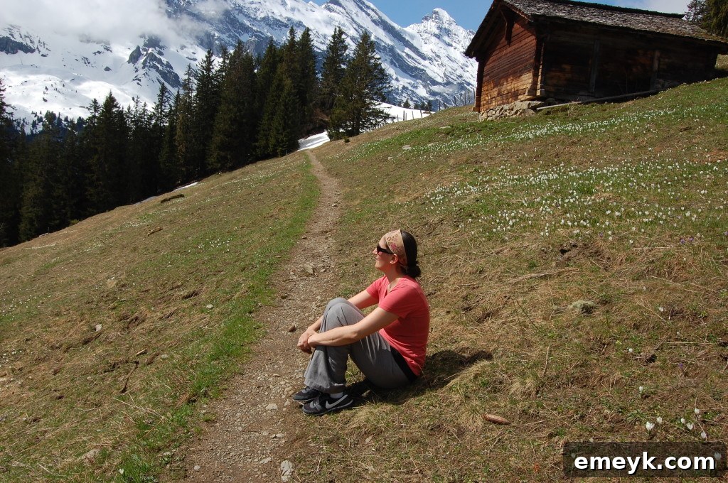 Hikers enjoying a scenic trail with panoramic views of the Swiss Alps and lush greenery