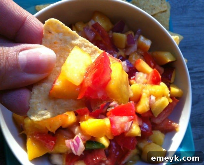 Delicious and fresh Peach, Mango and Nectarine Salsa ready to be served