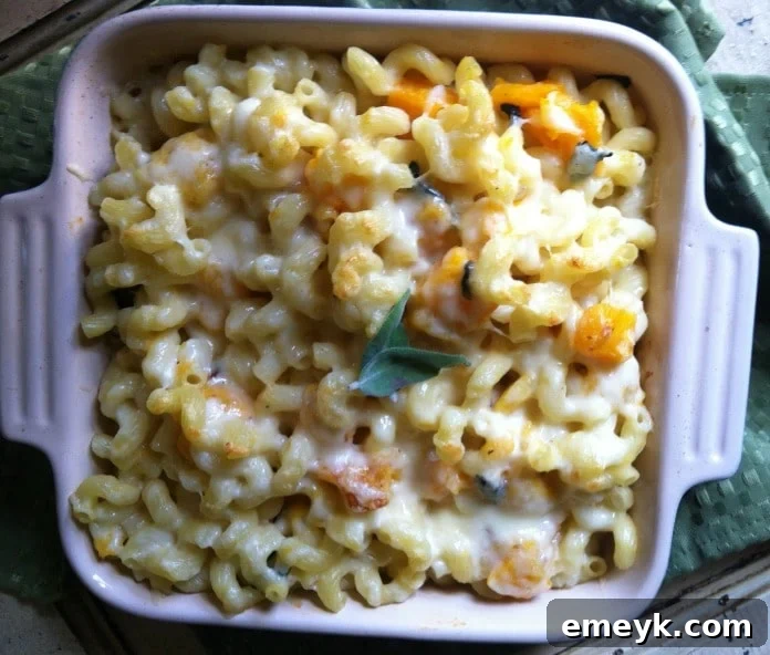 Roasted Butternut Squash and Sage Mac & Cheese recipe