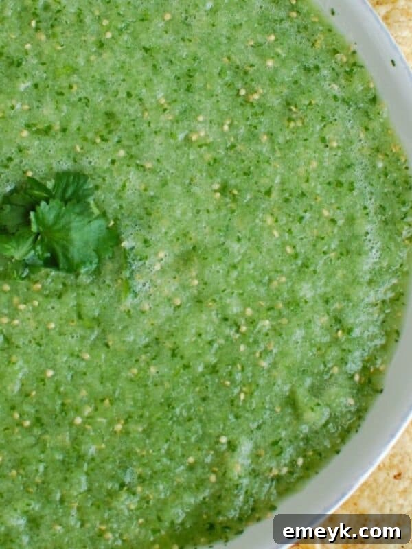 Tomatillo Salsa Verde in a bowl, garnished with cilantro