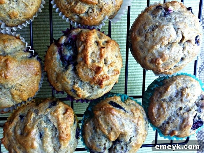 Several moist and fluffy Cinnamon Yogurt Blueberry Muffins arranged on a rustic wooden surface, ready to be enjoyed.