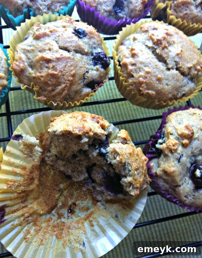 A close-up of three tall, golden-brown Cinnamon Yogurt Blueberry Muffins, showcasing their fluffy texture and delicious toppings.