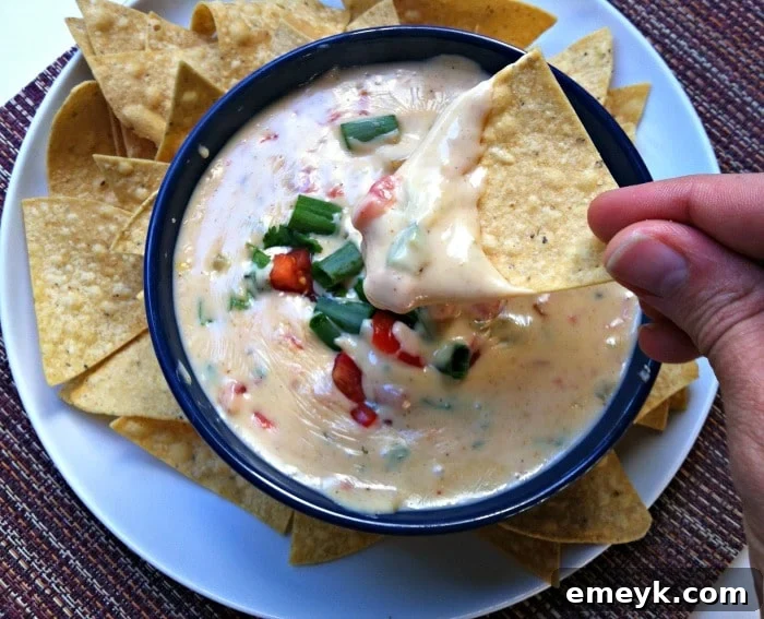 Close-up of freshly made Queso Blanco Dip, ready to be served.
