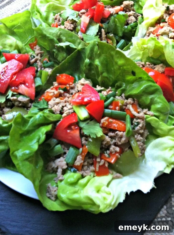 A close-up shot of healthy Thai Turkey Lettuce Wraps, highlighting the fresh ingredients and the vibrant filling, ready to be enjoyed.