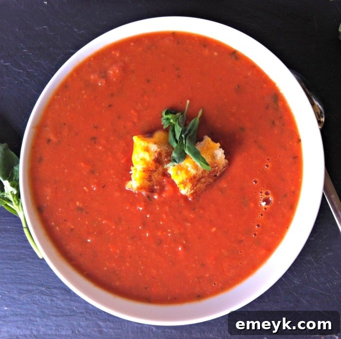 A steaming bowl of vibrant Tomato White Bean Soup topped with golden grilled cheese croutons and fresh basil leaves, ready to be enjoyed.