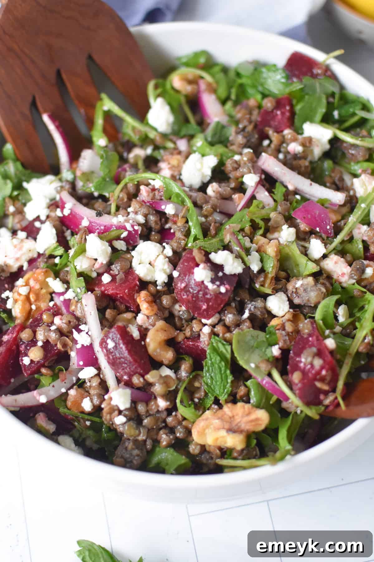 A close-up view of the Beet and Lentil Salad with Feta presented in an elegant white bowl.