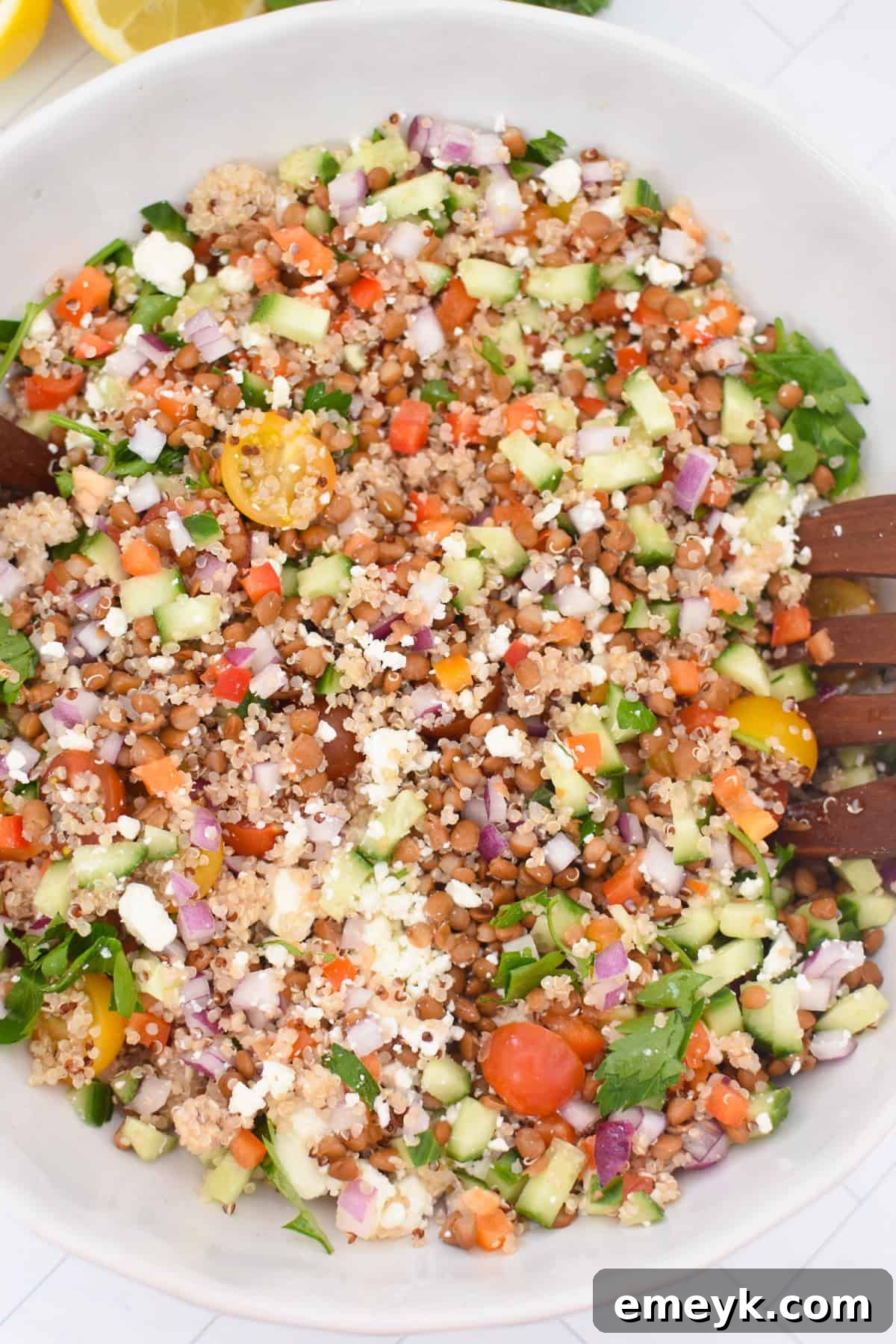 Lentil Quinoa Salad with Fresh Vegetables and Lemon Dressing 