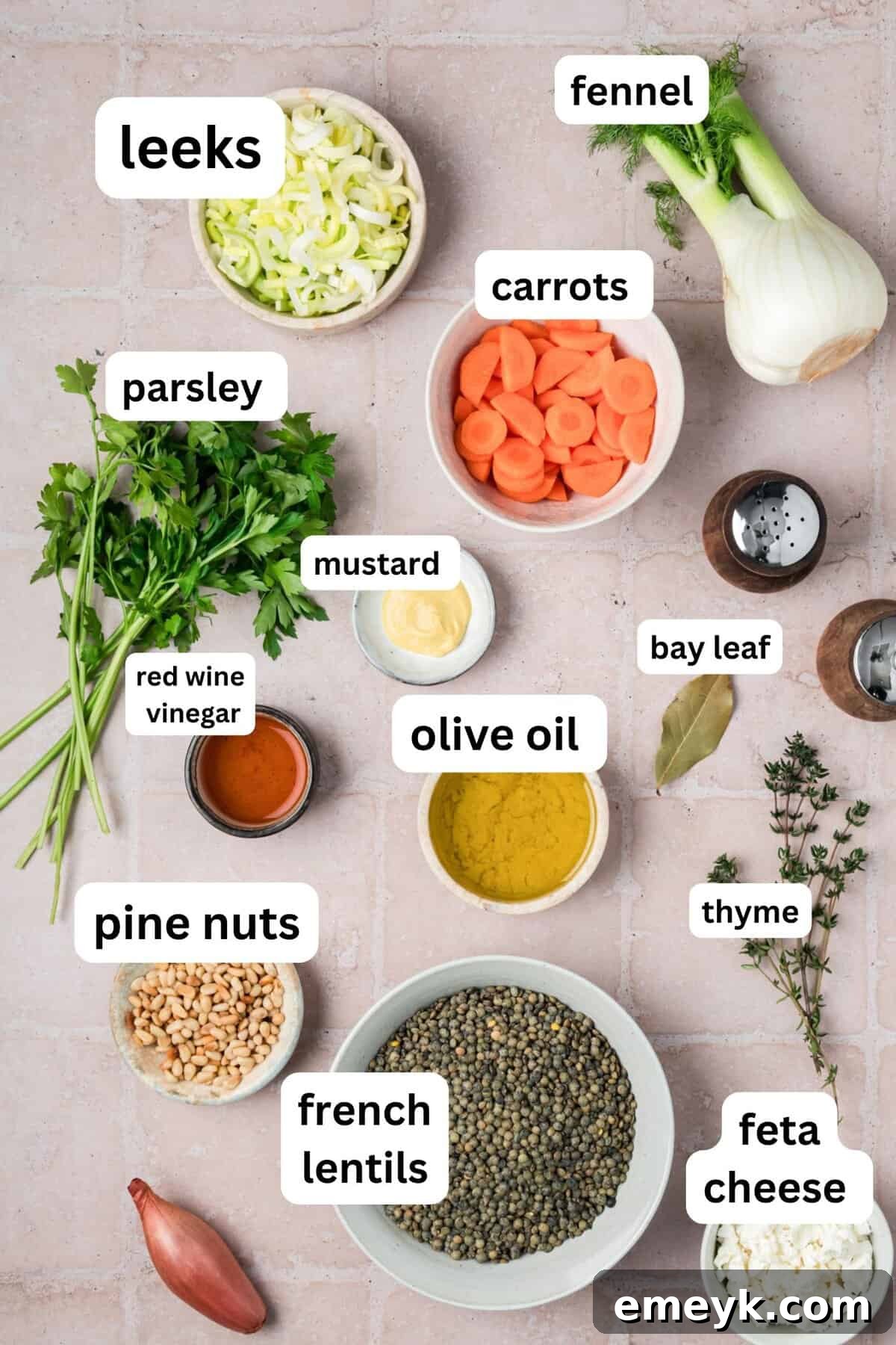 Easy French Lentil Salad with leeks and carrots