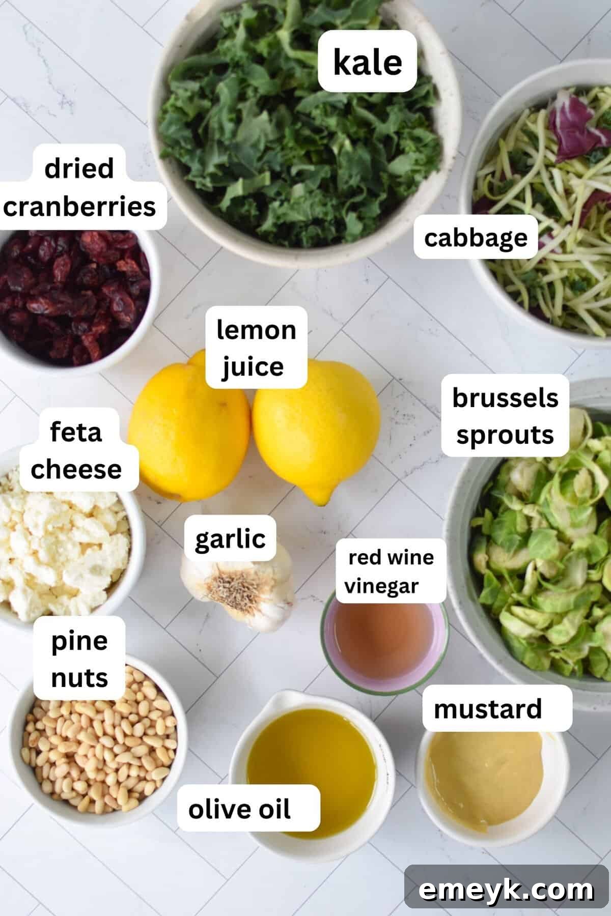 Close-up shot of fresh ingredients for Kale Brussels Sprout Salad, including kale, shaved Brussels sprouts, and dried cranberries.