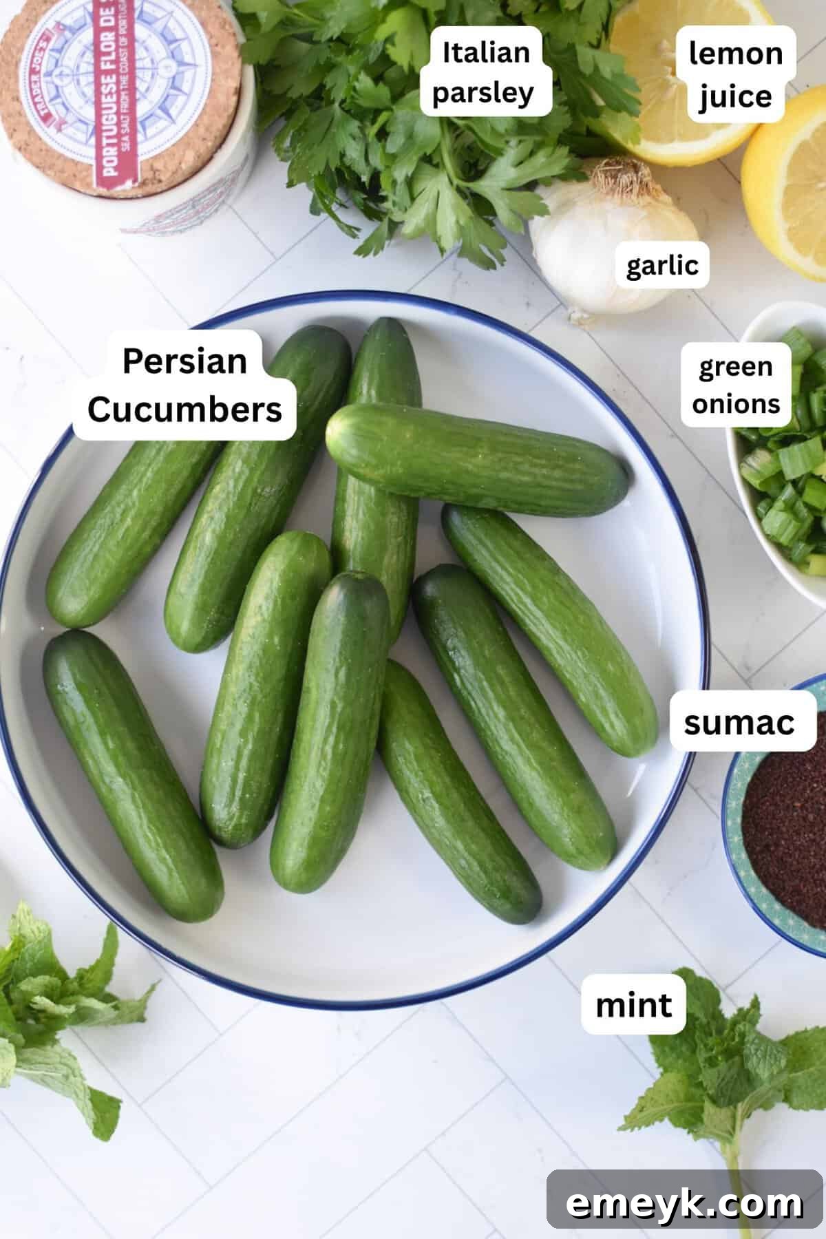 Ingredients for Smashed Cucumber Salad, featuring fresh Persian cucumbers, sumac, mint, and lemon.
