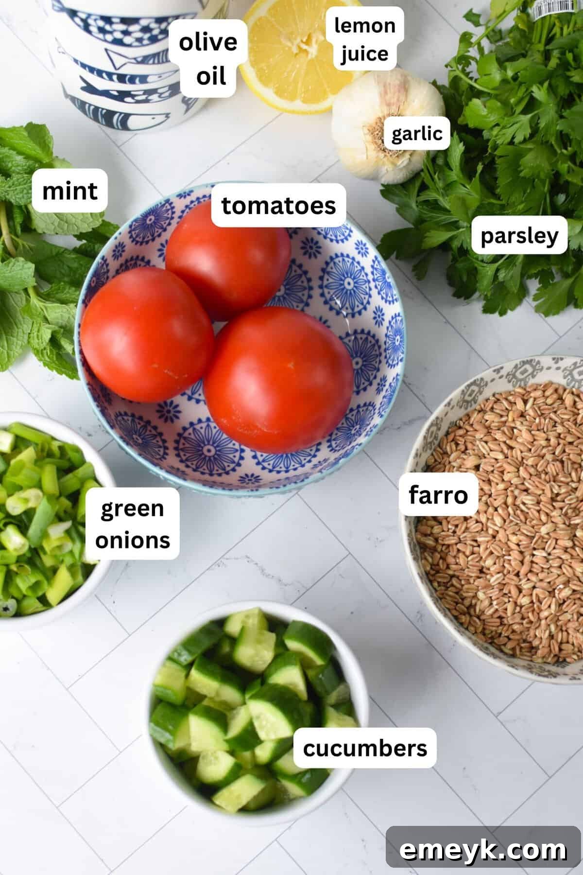 Mediterranean Farro Tabbouleh 5 Selection of fresh ingredients for Farro Tabbouleh Recipe: farro, parsley, mint, tomatoes, cucumbers, green onions, and lemons.