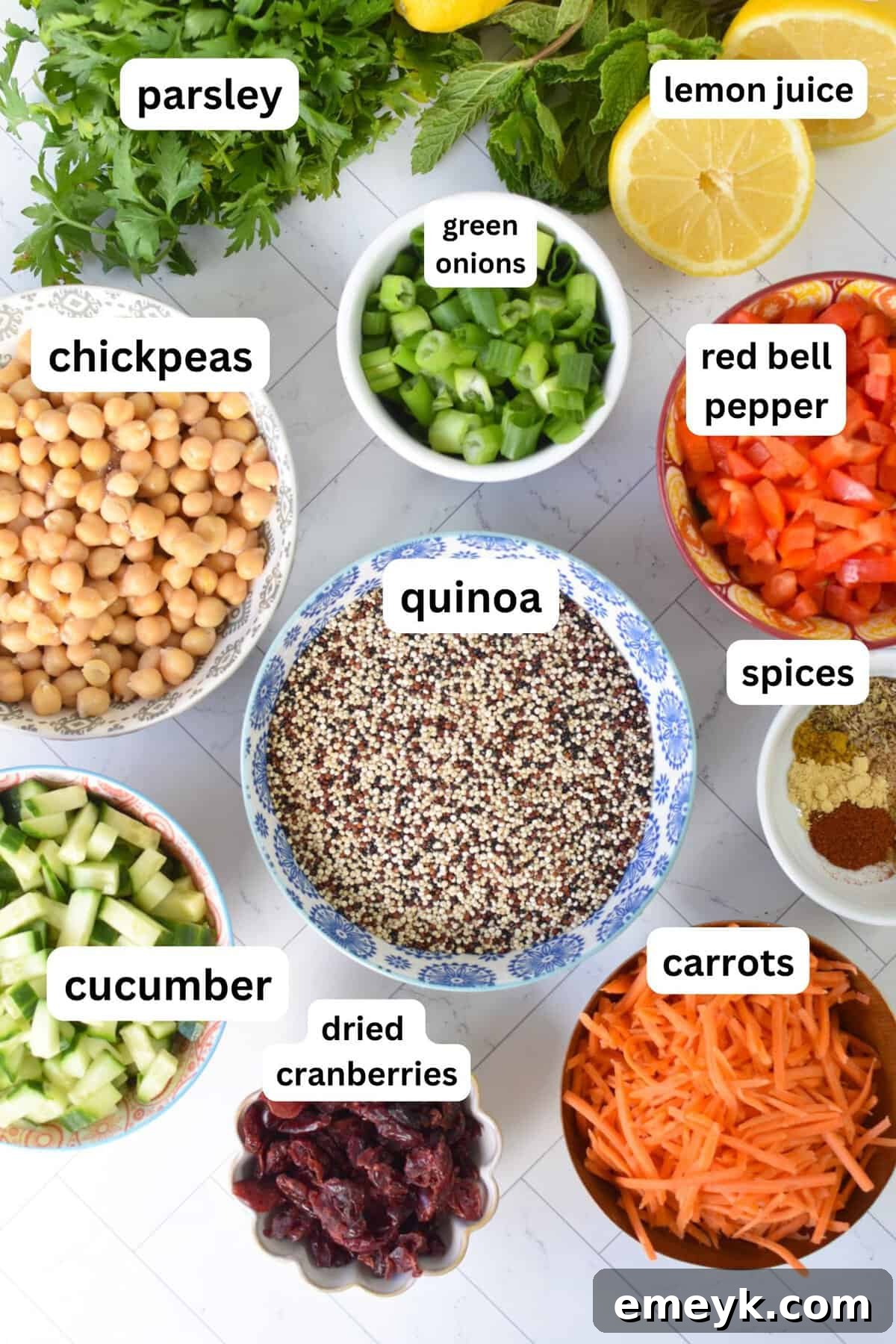 Moroccan Chickpea Salad recipe ingredients