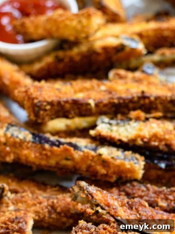 Air Fryer Eggplant Fries Recipe with ketchup