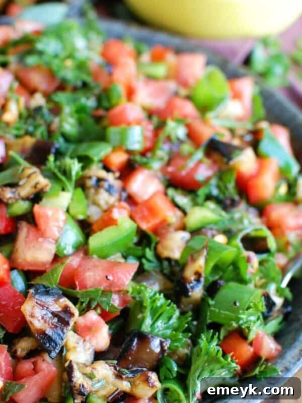Mediterranean Eggplant Salad 1200 x 1200