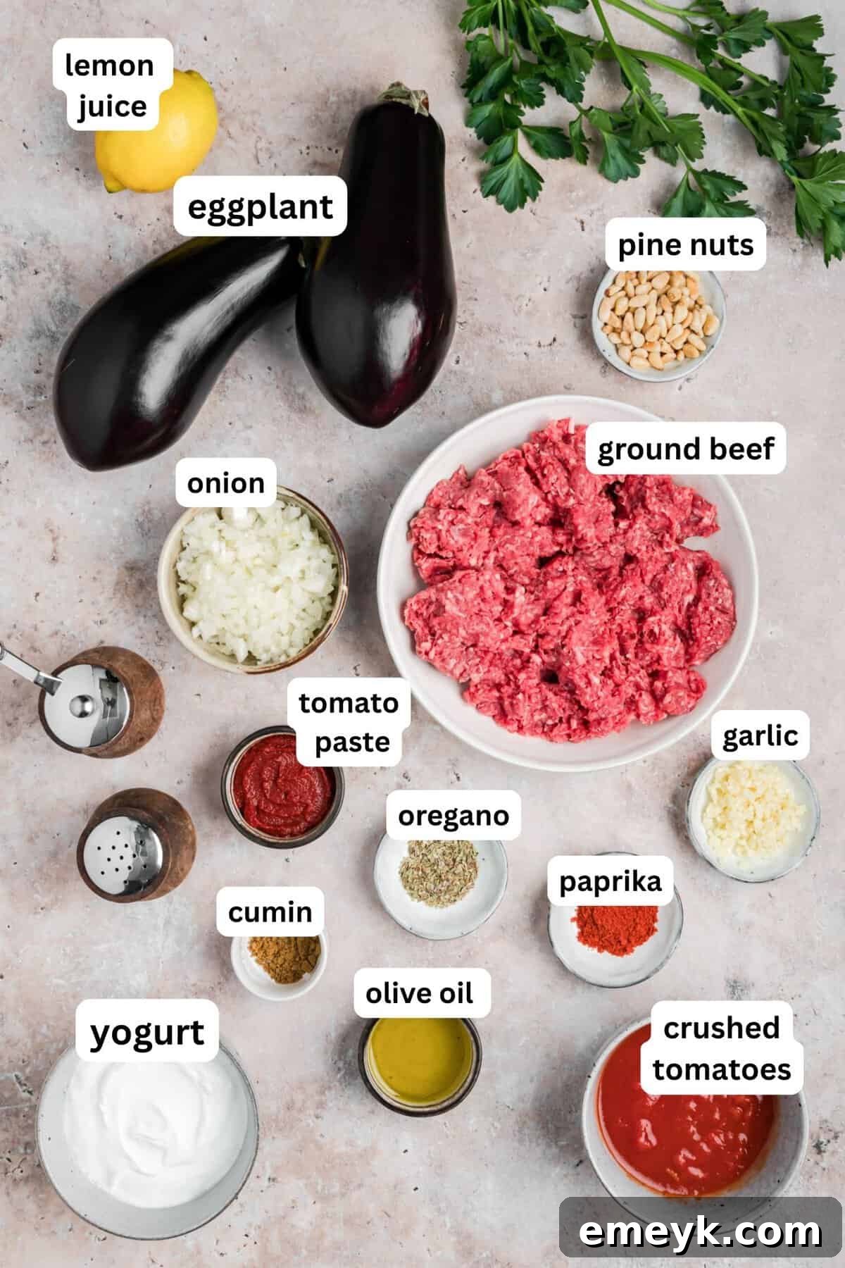 Mediterranean Stuffed Eggplant Recipe Ingredients