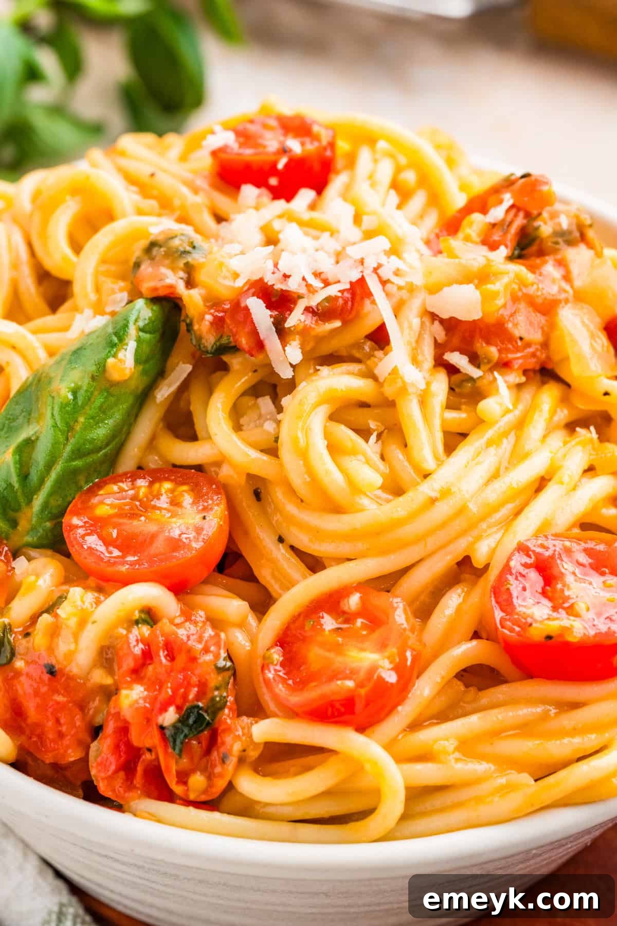 Up close Tomato and Basil Pasta 