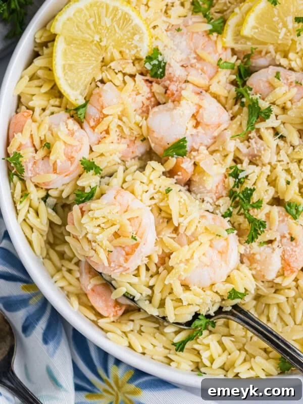 Lemon Shrimp and Orzo in a white bowl