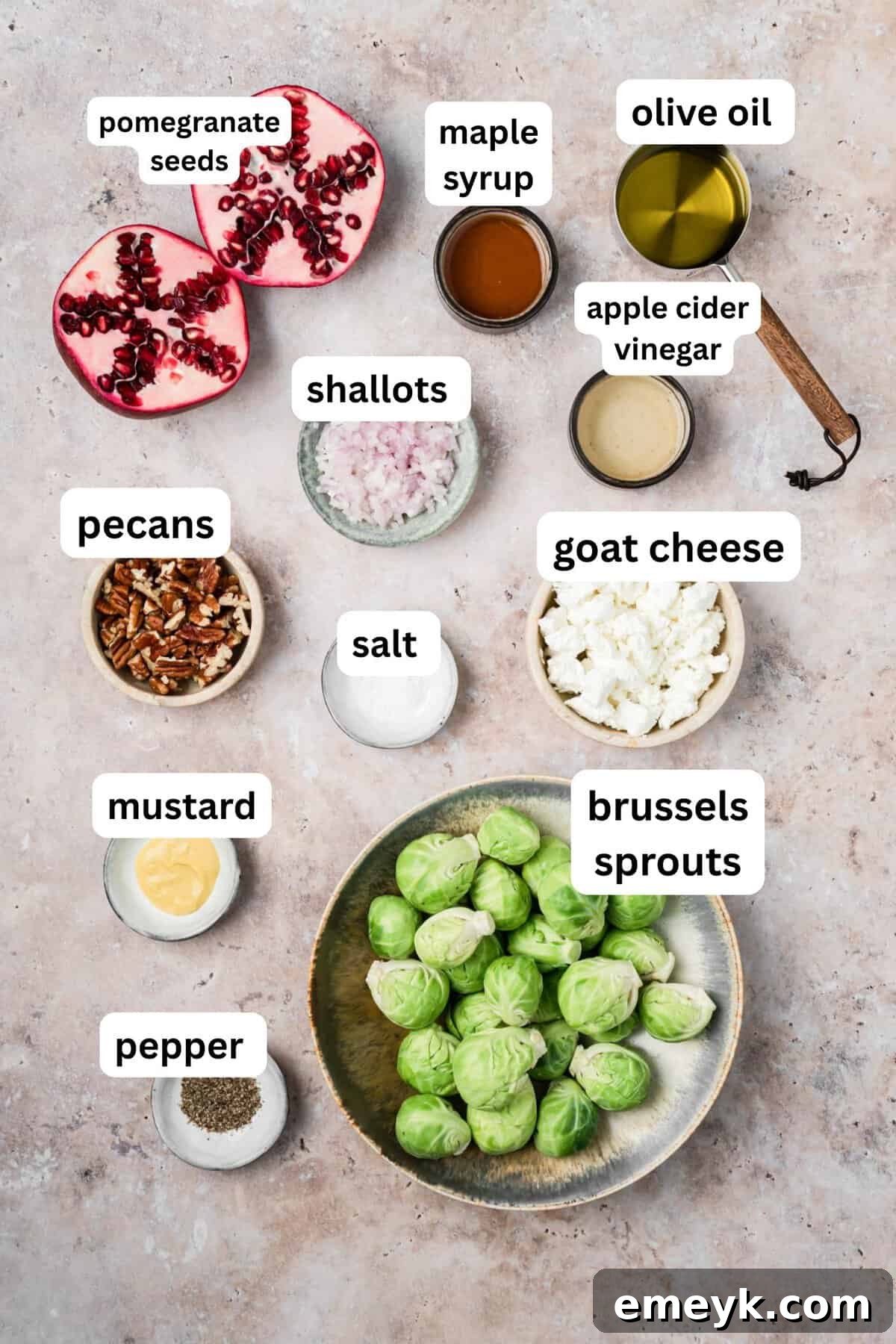 Brussels Sprouts Salad recipe ingredients