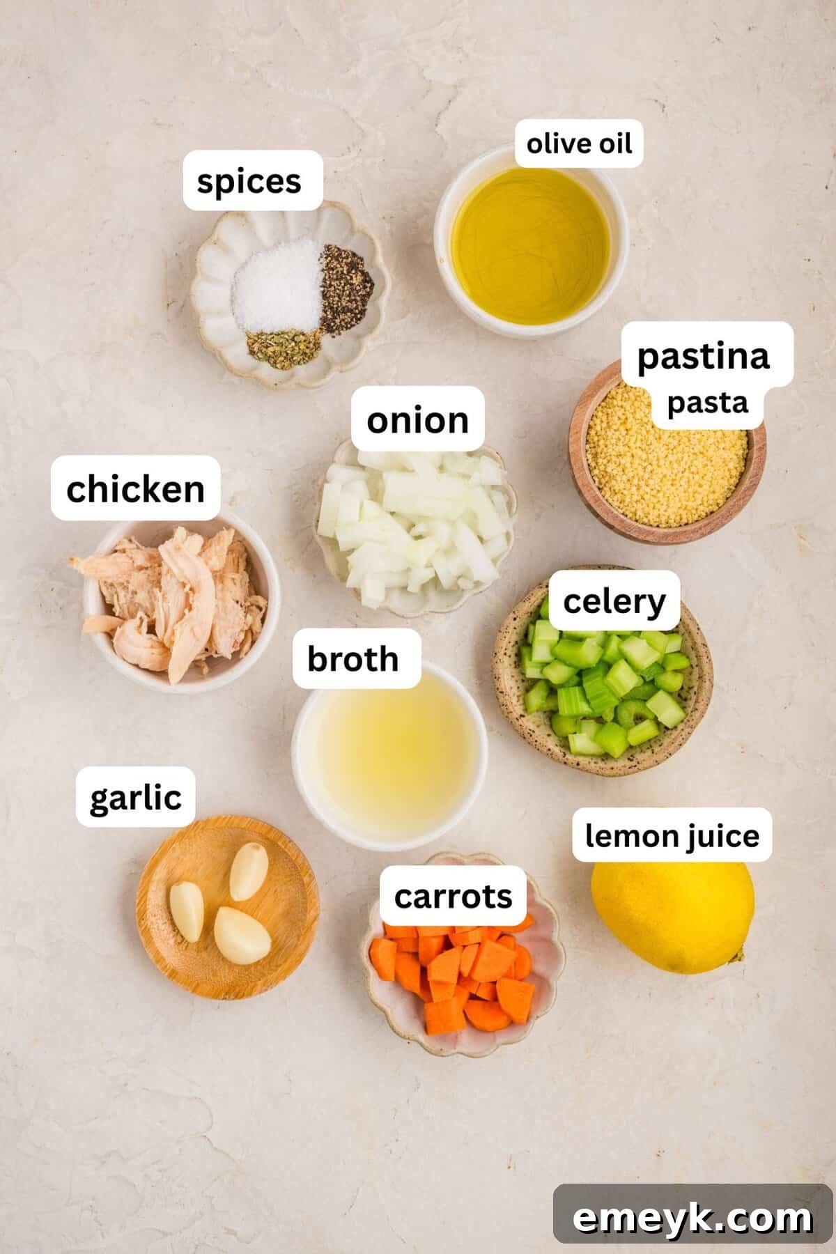 Recipe Ingredients for Chicken Pastina SOup 